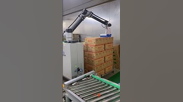 Pan-fried dumpling packaging palletizer #palletizer #collaborativepalletizer