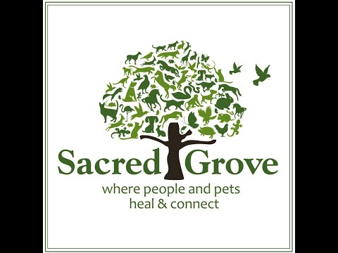Moving Forward From Grief with Bobbie Rae Boyer