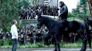 ملخص فيلم القرد سيزر 2 | القرود طلعت اخطر من الكورونا  Dawn of the Planet of the Apes 2D