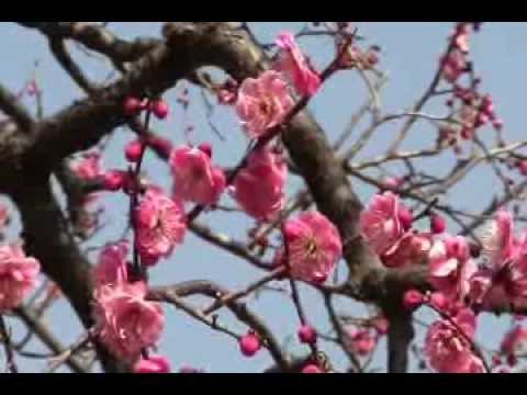 2014　春はすぐそこに