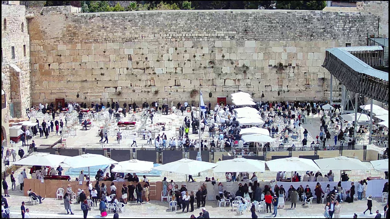 מצלמות הכותל המערבי, ירושלים בשידור חי - רחבת הכותל