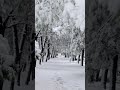 #kar #snow #music #huzur