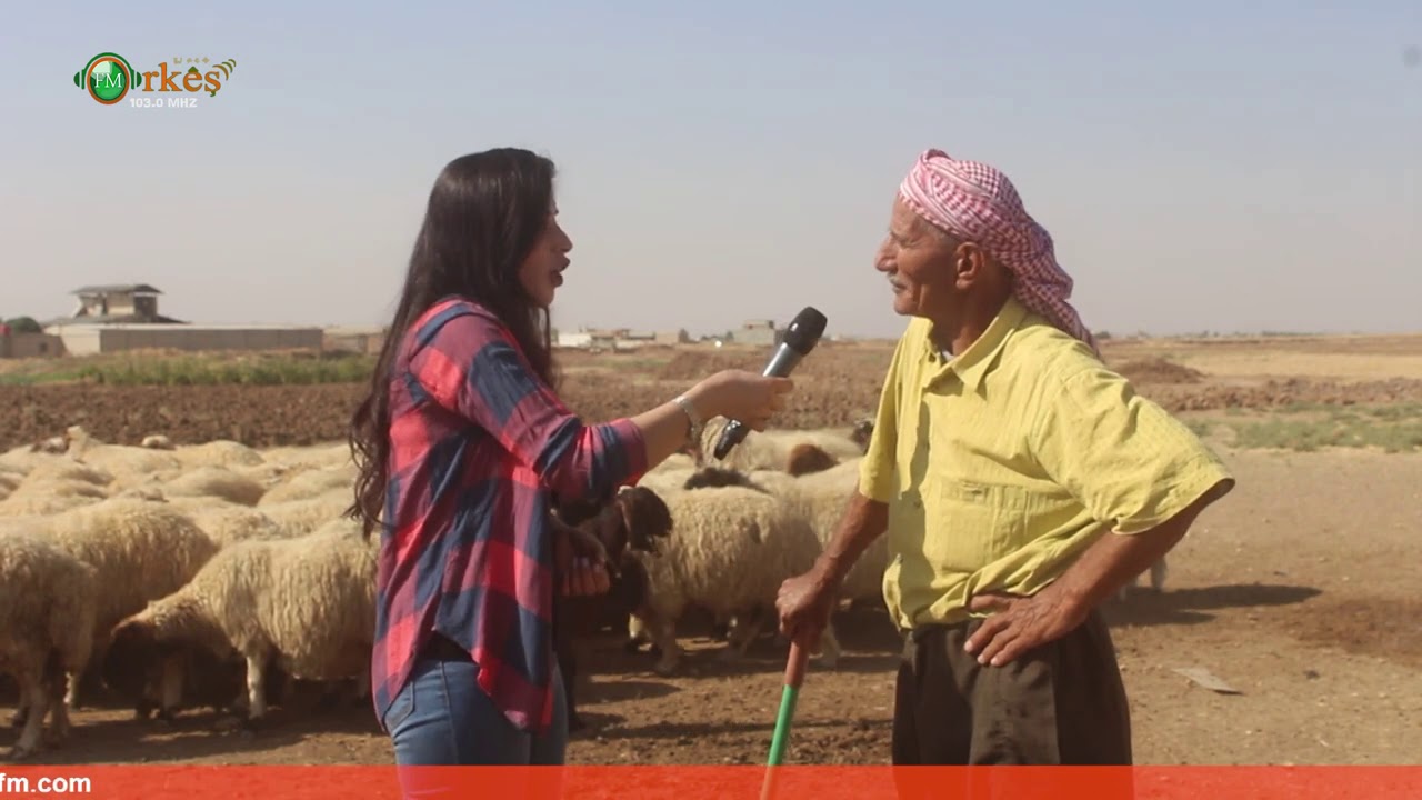 العم صالح قرنو شخصية من مدينة عامودا ، يعمل في مجال الزراعة وتربية المواشي منذ الصغر