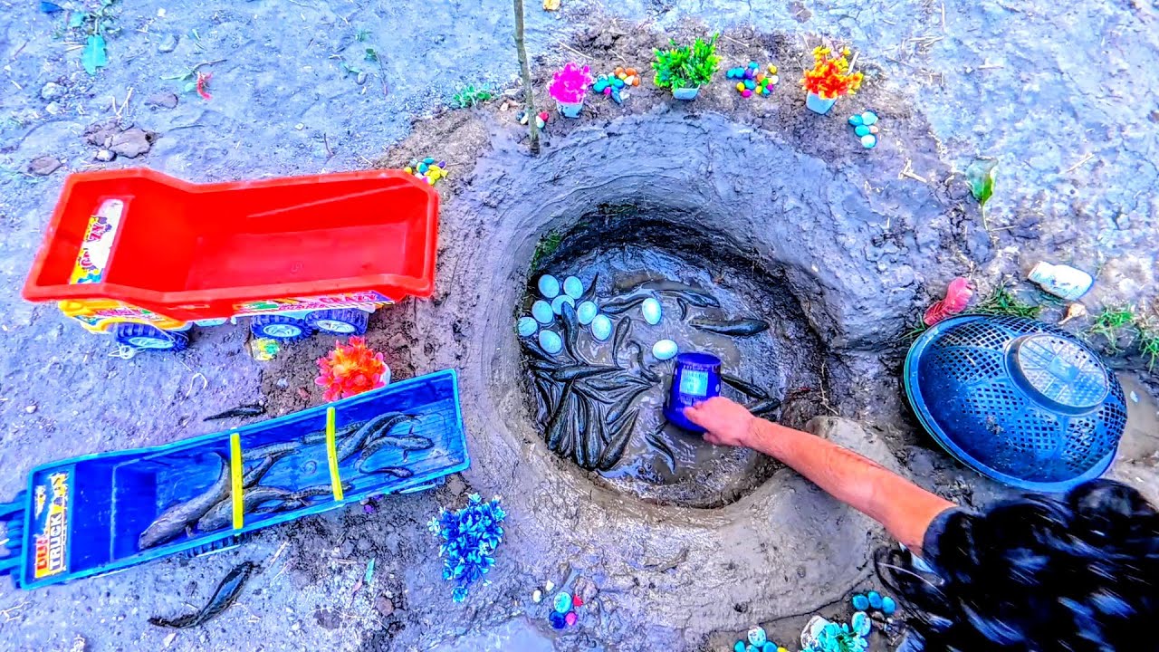 Many Fish And Eggs Were Caught From A Small Pond And Loaded Into Two Truck 🚚