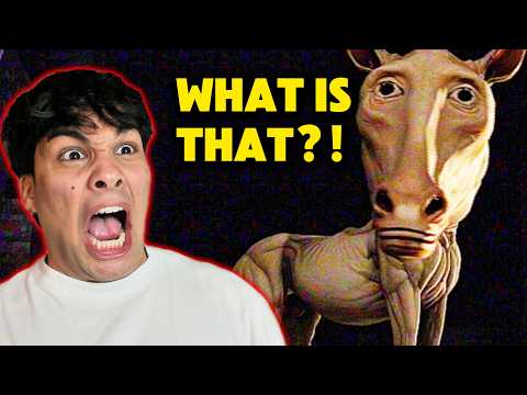 THIS HORSE IS TERRIFYING!! - Something is Outside Your House...