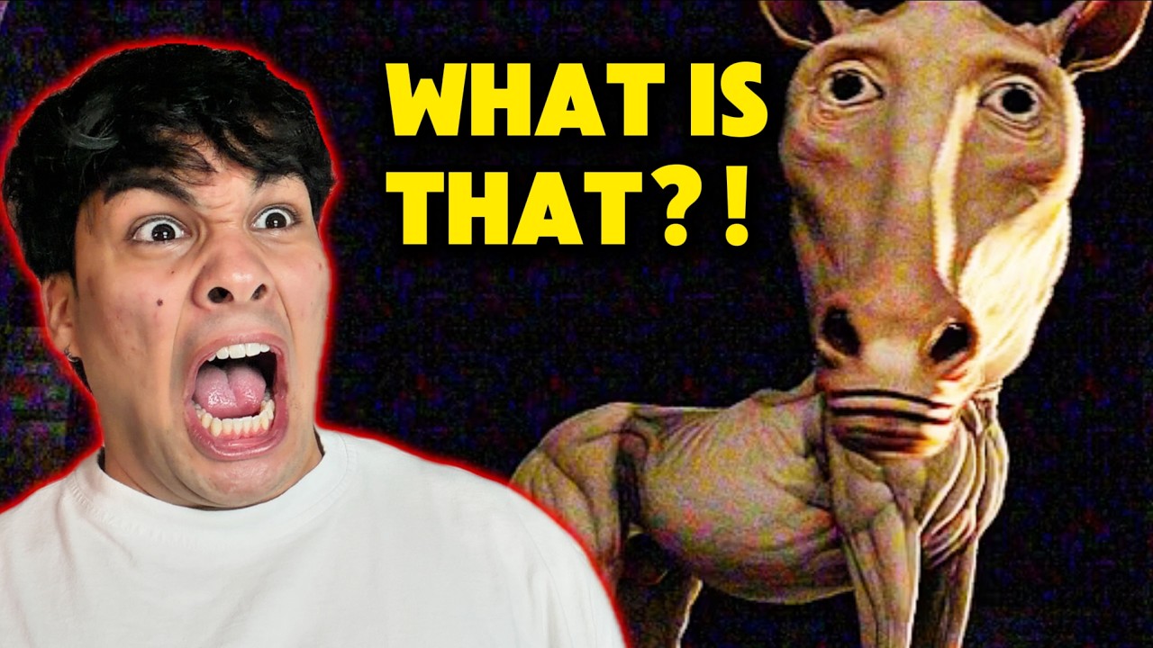 THIS HORSE IS TERRIFYING!! - Something is Outside Your House...