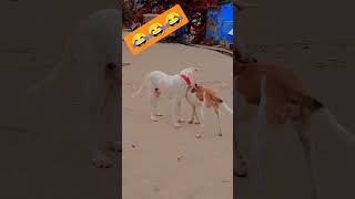 Unmathann Like Share Comment Subscribe