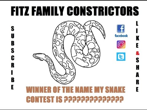 camera iphone 8 plus apk NAME MY SNAKE GIVEAWAY WINNER IS?