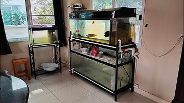 Man สวนผัก 32 - งานสลับที่ตู้ปลา 60/2 ชั้นชุดเก่าออก เฟอร์ 72 เข้าแทนพร้อมทำระบบ O4FS จบลงปลา Set 1