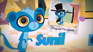 Lps Intro Lps Pets