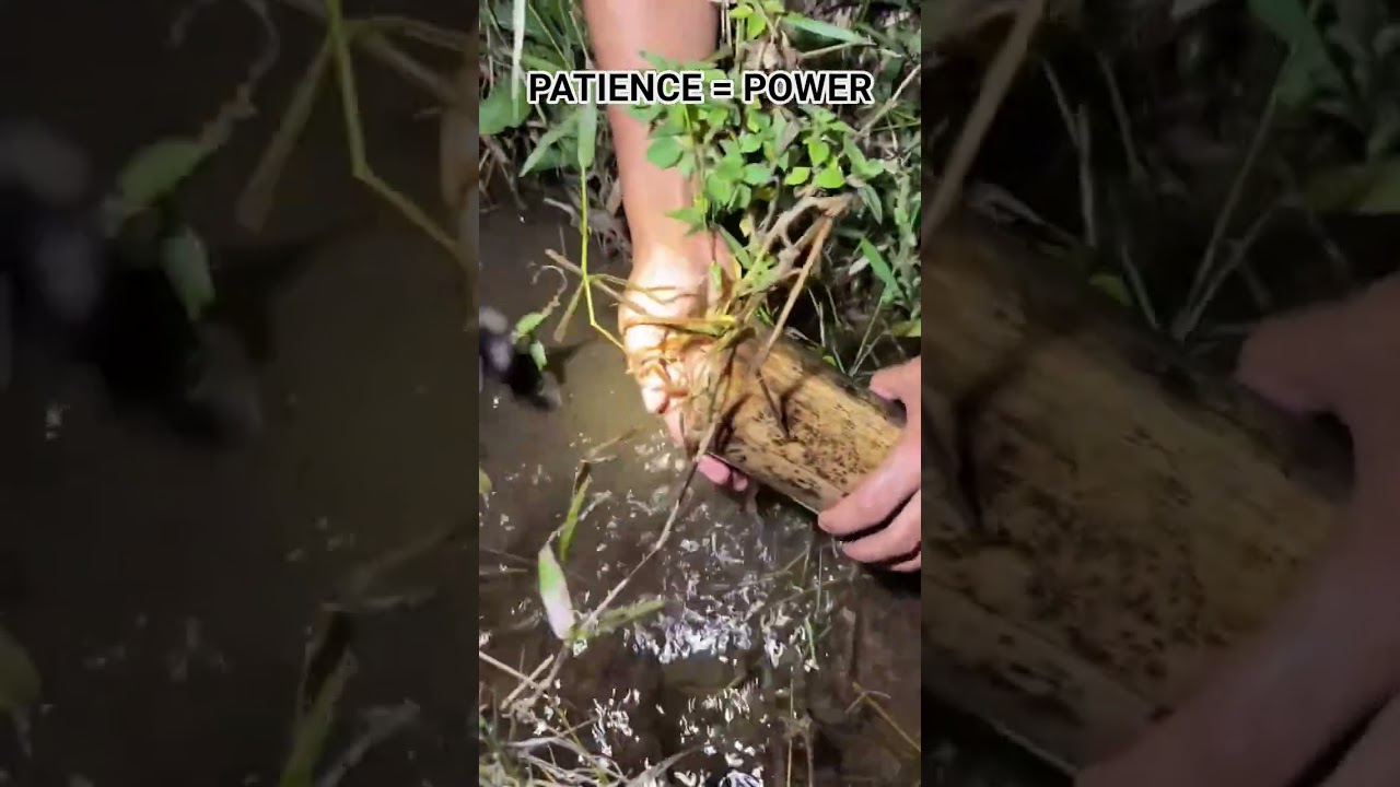 Patience Is the Real Power 🎣🌿 