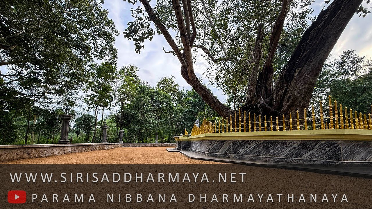 🔴LIVE මැදින් පොහොය 2026 ~ මීවනපලානේ සිරි ධම්මාලංකාර මහා අරිහත් බුදුපියානන් වහන්සේ ~ Siri Saddharmaya