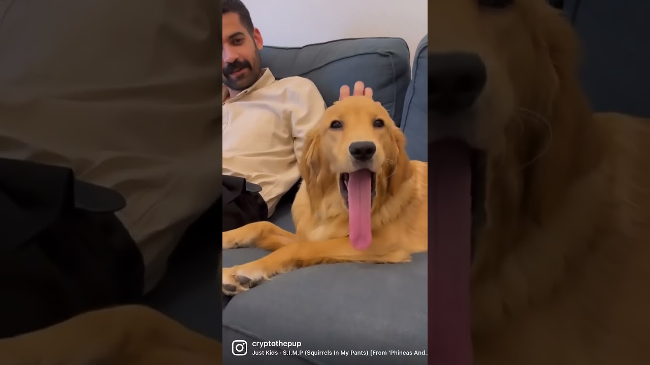 Longest tongue 🤣 