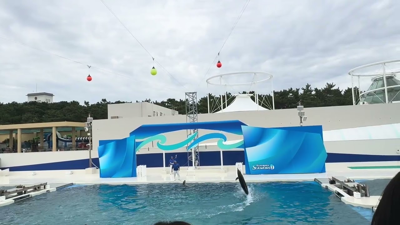 【鴨川シーワルド】イルカショー