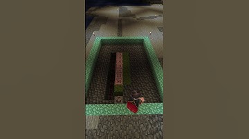 Tree Farm Time Lapse