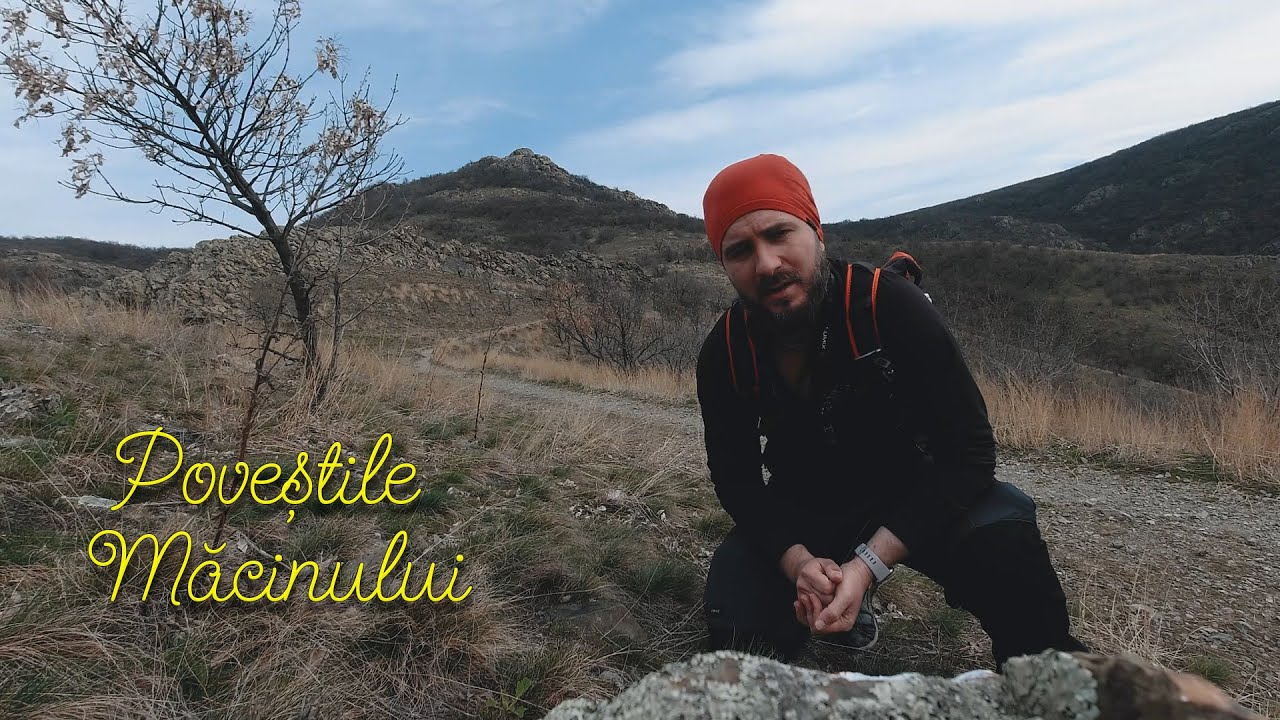 Măcin | Știai că, sunt lupi în Munții Măcinului?