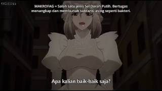 Makrofag Cantik Kakaknya Anone Hataraku Saibou Indo Sub