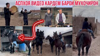 Аспхои худамона видео Кардам дархости мухочир 🇹🇯