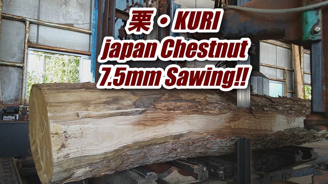 栗・Kuri・Japan chestnut7.5mmSawing!! - YouTube