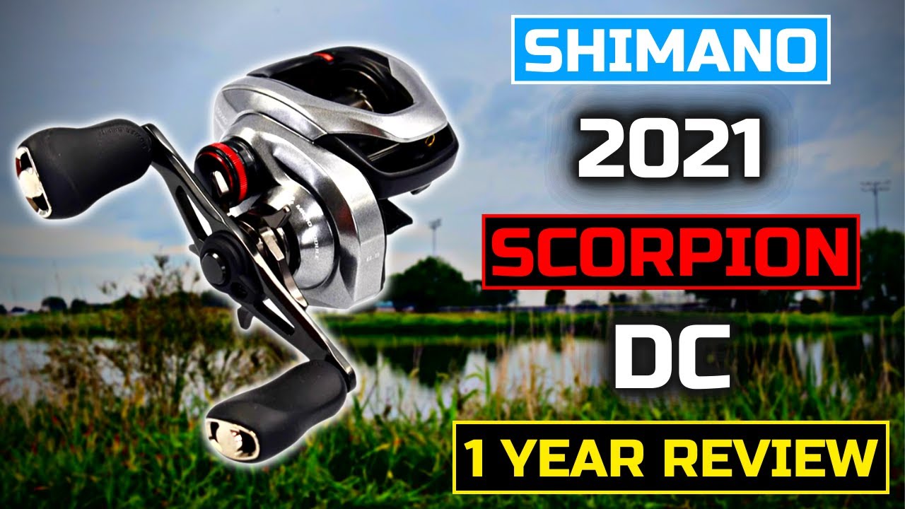 2021 Shimano Scorpion DC  1 Year REVIEW! 