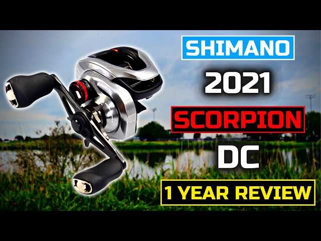 2021 Shimano Scorpion DC  1 Year REVIEW! 