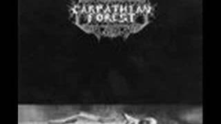 Video Black shining leather Carpathian Forest