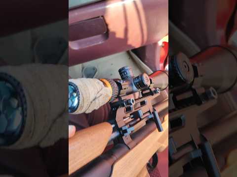 الصيد وعز الصيد الله حيج الصيد البر كشته غليص الحمام مطر الصحراء الذيب الكانوص اذكروالله