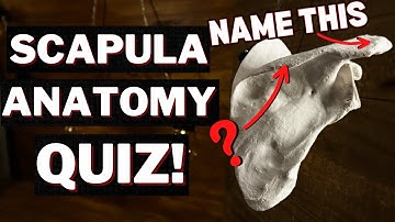 Practice Quiz on Scapula Structures so you Pass Your Exam