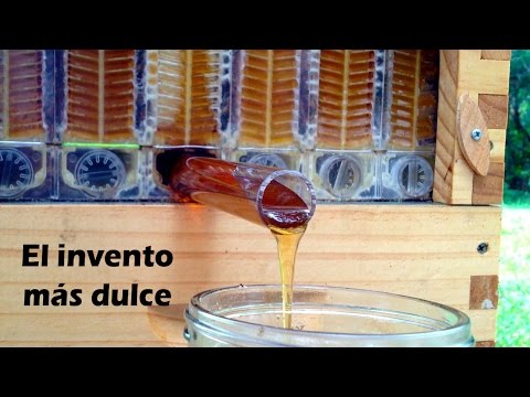 Video: Techo De Nido De Abeja