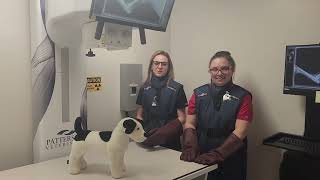 Welcome to the Valley Animal Hospital