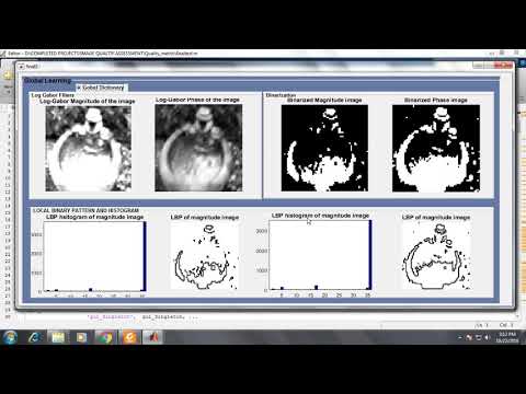 Local and Global Feature Learning for Blind Quality Evaluation of Screen Content and Natural Scene