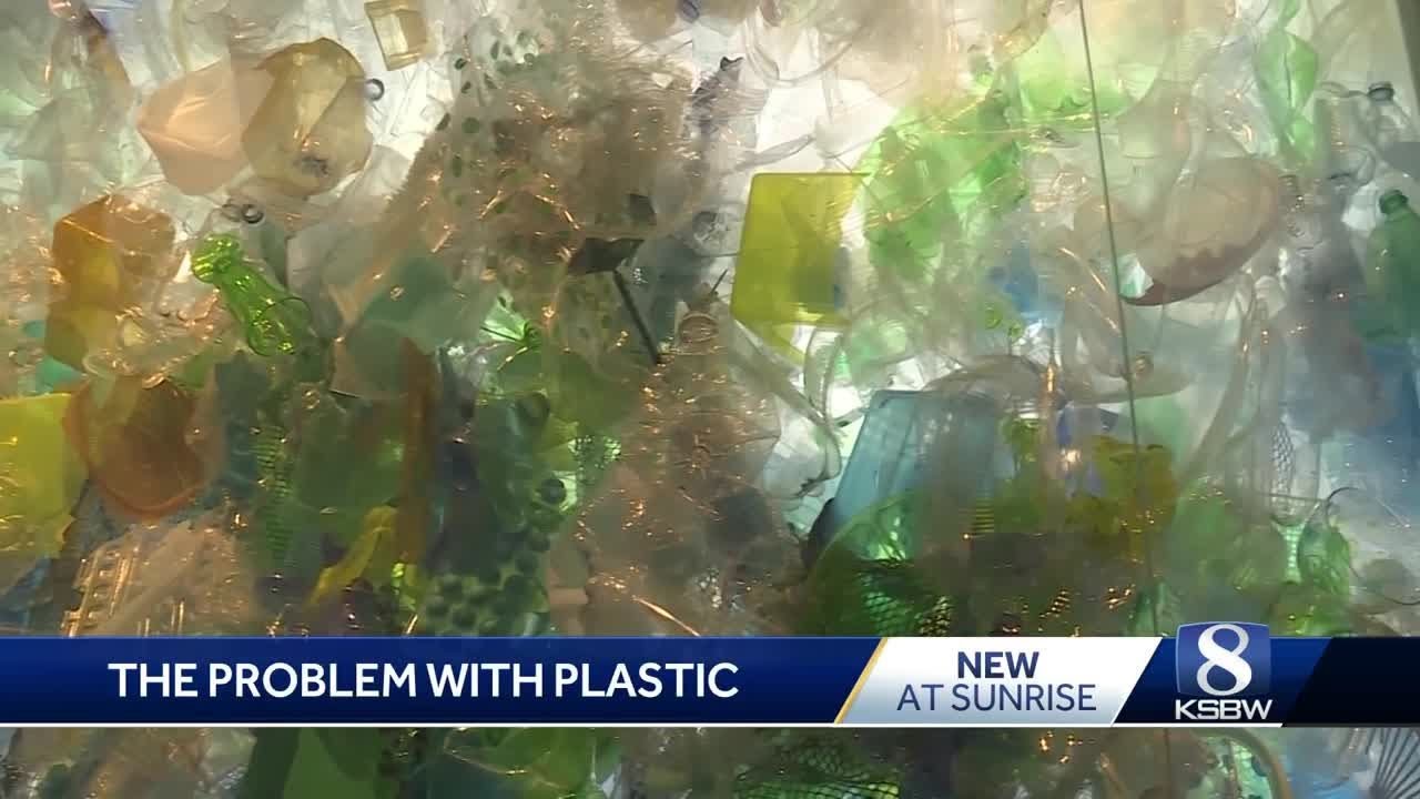 Plastic free july youtube