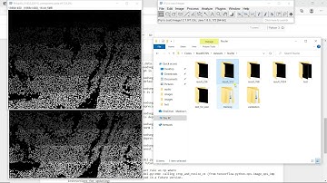 Deep learning-based segmentation for biologists - Processing - Mask R-CNN
