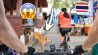Bangkok Hidden Gems 🐕 Thailand Cycling Tour on Folding Bikes