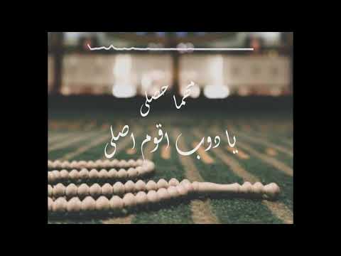    مهما حصلى