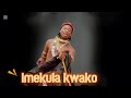 Ndizu Kumilemo IMEKULA KWAKO Official Video 4k By Dev M Studio 2026