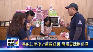 109 0214 協助農友解決裂果問題 南州農會研發蓮霧果乾
