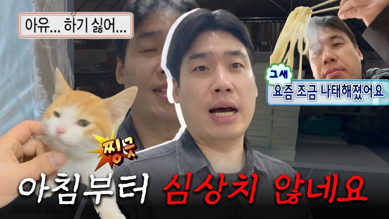 새벽 6시반부터 11시까지 풀가동 누에 농장 24시 | 새로운 식구 고양이의 등장?