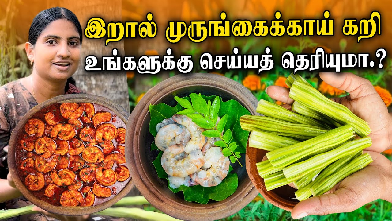 ருசியான இறால் முருங்கைக்காய் குழம்பு | Jaffna style Iral recipe in tamil | Prawn Curry Recipe