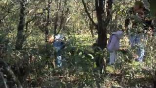 Geocaching How To: Treasure Hunting With Your Kids - Video