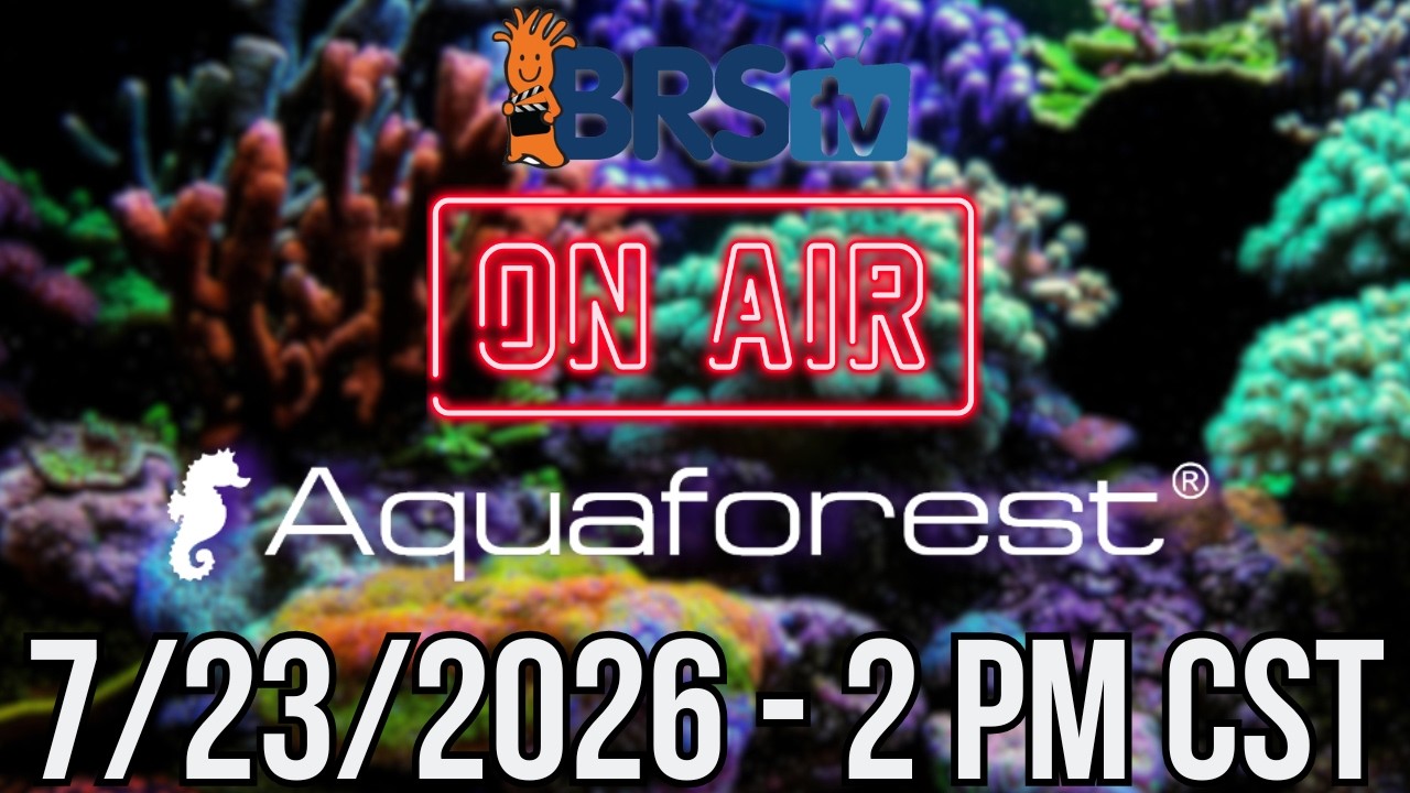 BRStv Reef Tank Q&A w/ Aquaforest!