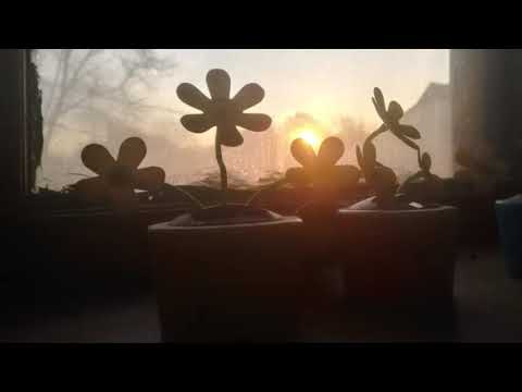 this side of paradise ~ cover by Aloe