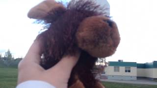WEBKINZ STUNT FAIL