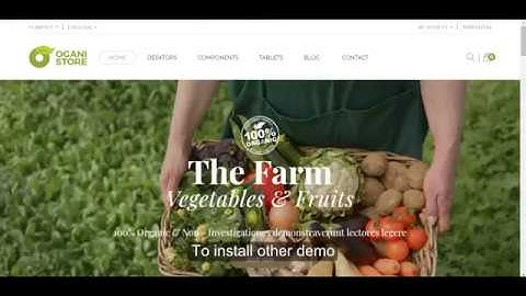 How to install Ogani Responsive Opencart 3 theme