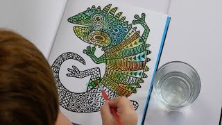 magic painting books usborne watercolor children biff chip water pdf framework fccmansfield