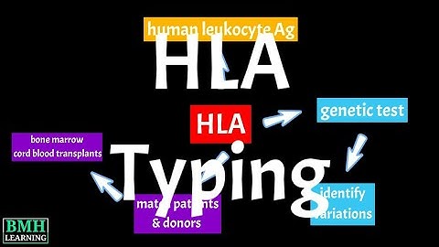 HLA tissue Typing | Full-length HLA Typing | HLA Matching |