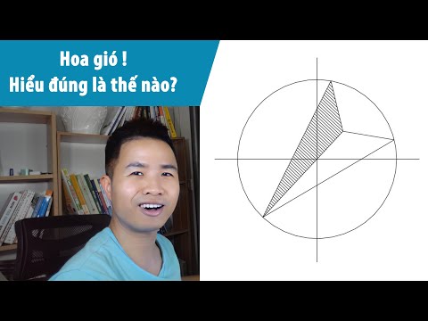 Video: Củ hoa gió trông như thế nào?