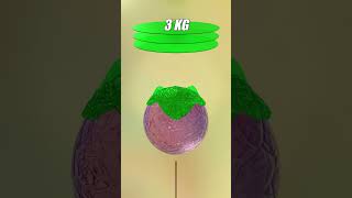 Cloth Simulation 3D📈🟠Weight #3dart #3danimation #clothsimulation #simulation  #asmr #shorts #funny