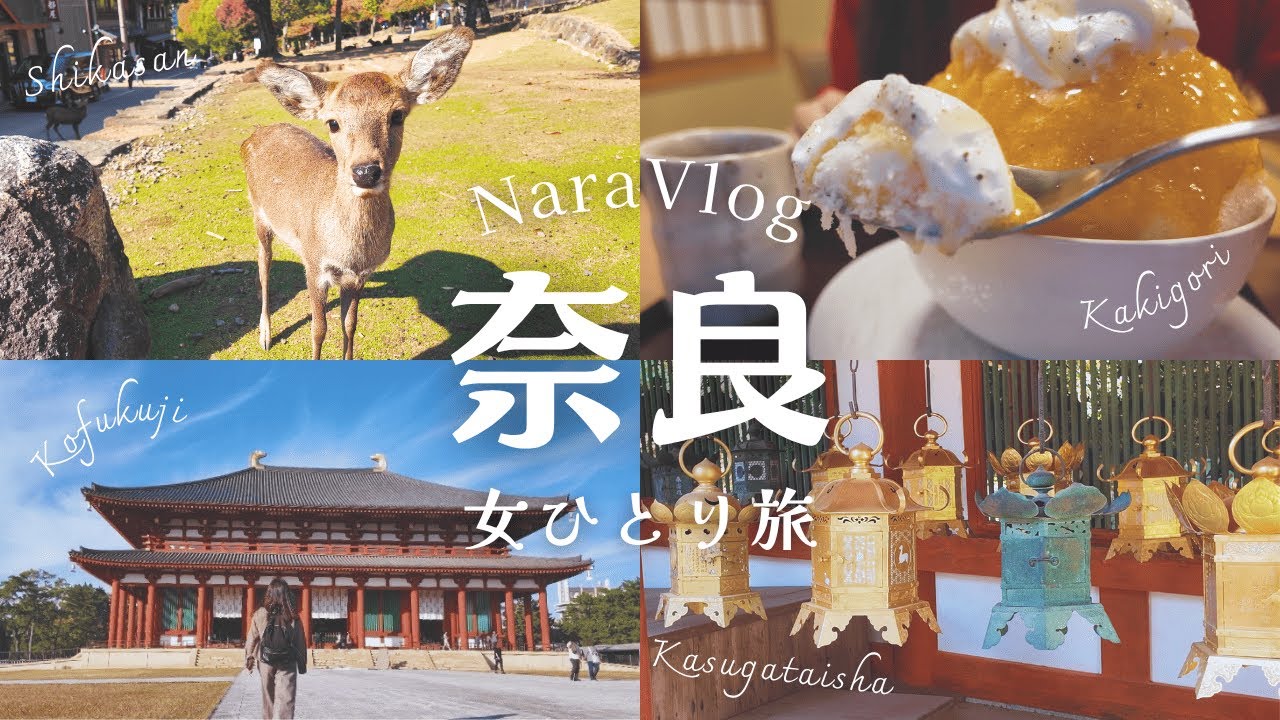 【女ひとり旅】鹿に会いに行ったら奈良の魅力が全部刺さった【奈良/東大寺/春日大社/興福寺/鹿/奈良公園/大仏/ROKUMEICOFFEE/天理ラーメン/紅葉/癒し旅 /女ひとり旅/秋旅】