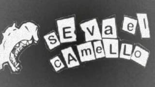 Version 2 of the video
